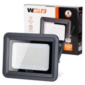 Светодиодный прожектор уличный WOLTA 100Вт 5500K, 100 W  IP65 WFL-100W/06