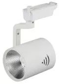 Трековый светодиодный светильник ЭРА 30Вт TR1 - 30 WH белый COB